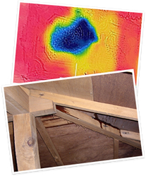 知識No.1の科学的雨漏り調査