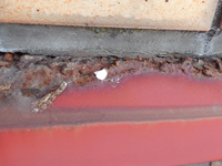 【サビ】鉄部の剥がれサビ