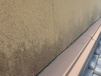 【カビ】カビや藻などの繁殖