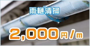 雨樋清掃 2,000円/m