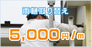 雨樋取り替え 5,000円/m