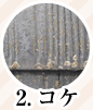 2. コケ